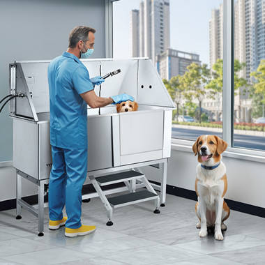 Hydraulic dog outlet grooming bath